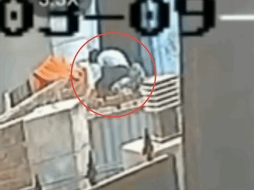 सीसीटीवी कैमरे में दोहता नानी का गला दबाते हुए कैद हुआ था। - Dainik Bhaskar