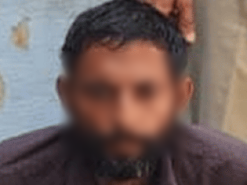 घर में बंधी चार भैंसें चुराई, गिरोह के दूसरे सदस्यों की तलाश|रेवाड़ी,Rewari - Dainik Bhaskar
