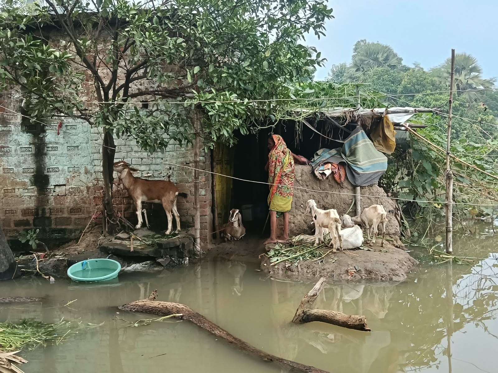 दियारा इलाके के घरों में बाढ़ का पानी घुस गया है, जिससे खाना-पीना तक मुश्किल हो गया है।