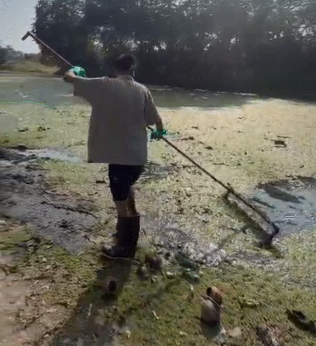 Bittu and his friends cleaning the river.