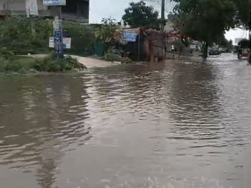 खराब ड्रेनेज सिस्टम के अलावा अलवर में बारिश के दौरान कई इलाकों में इसी तरह पानी भर जाता है।