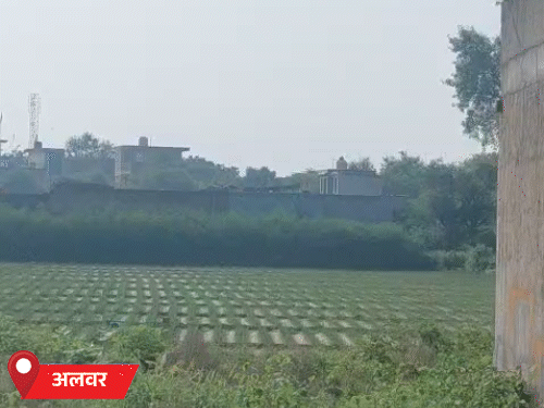 अलवर में धूप निकलने से गर्मी रही। बीते दिनों में जिले में अच्छी बारिश रिकॉर्ड हुई है।
