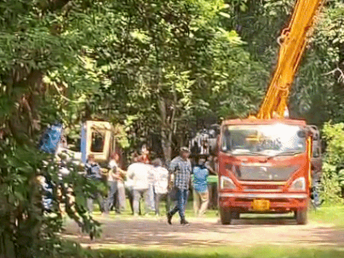 लेपर्ड पेड़ से नीचे लगाई नेट पर गिरा। अधिकारियों ने बताया कि आखिरी दो निशाने एक क्रेन पर चढ़कर लगाए गए थे।