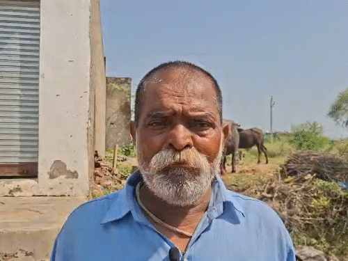 बच्ची के दादा राधेश्याम शर्मा ने कहा कि बहू भैंस बांधने घर से बाहर निकली थी, तभी बच्ची उसके पीछे-पीछे निकल गई।