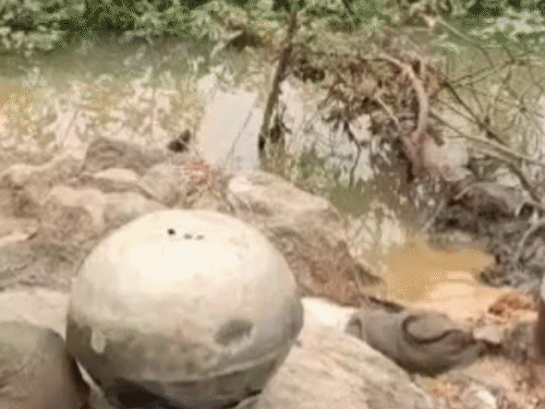 नष्ट सामग्री की कीमत करीब 2 लाख रुपए