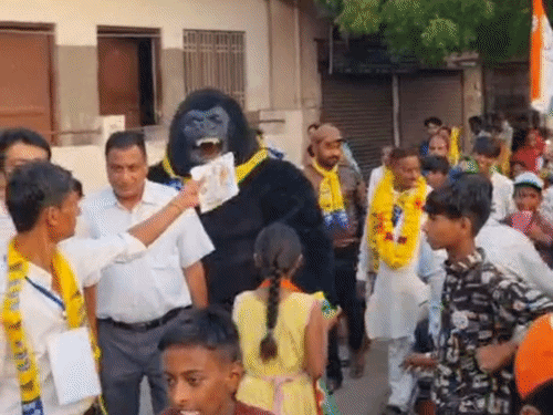 अजमेर के वार्ड 42 में आप के प्रत्याशी एक युवक को गोरिल्ला बनाकर प्रचार करने पहुंचे।