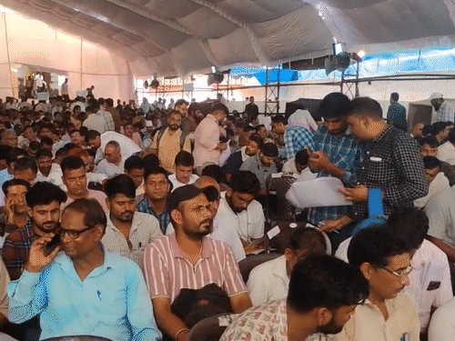 जयपुर के 150 वार्ड को लेकर शुक्रवार को वोटिंग की जाएगी।