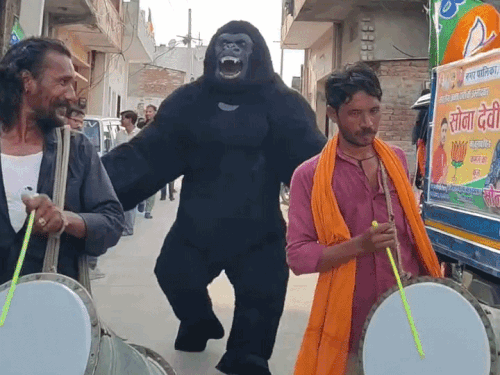 टोंक में कलाकार हेमंत कुमार गोरिल्ला की ड्रेस में प्रत्याशी का प्रचार करते हुए।
