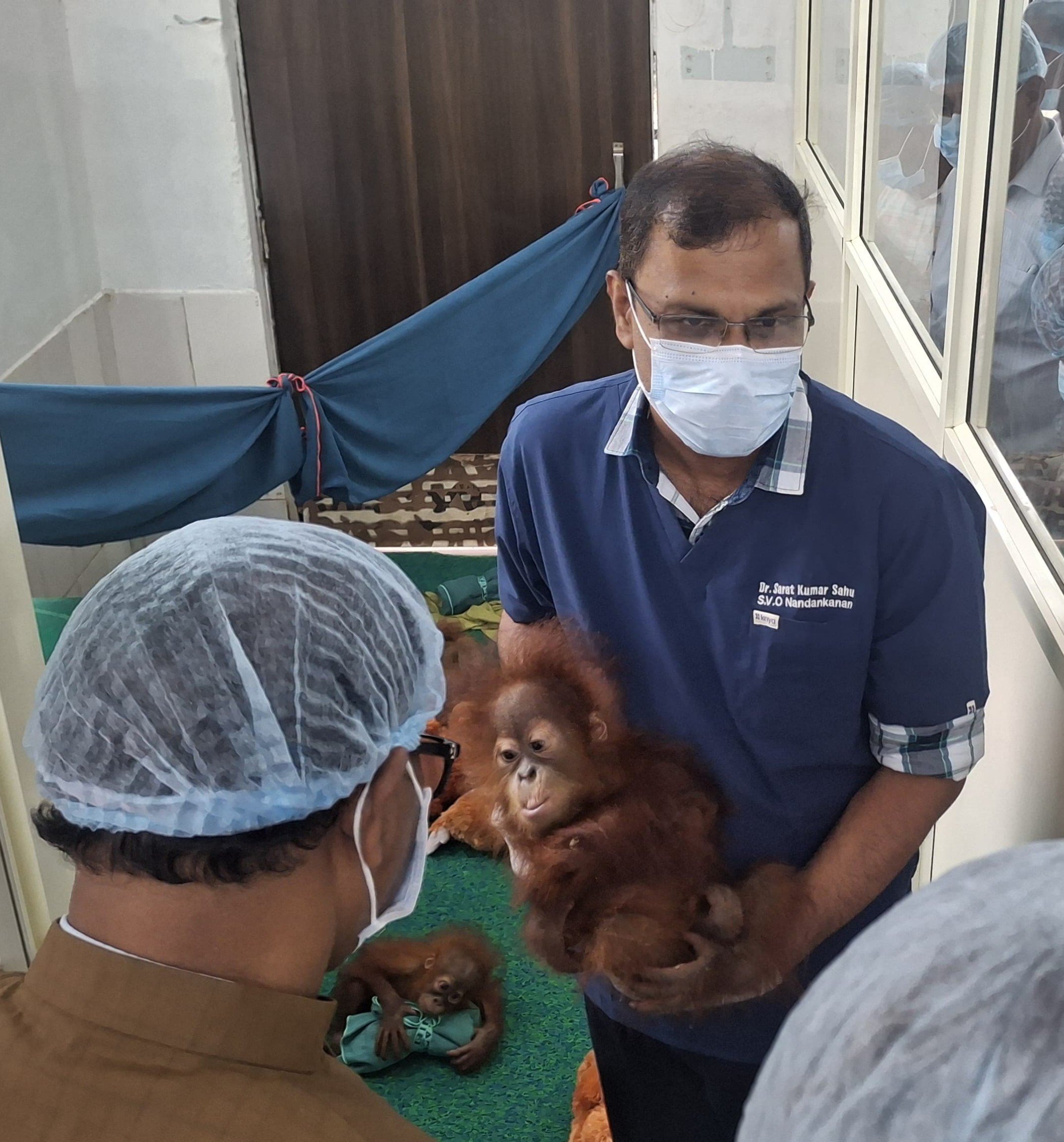 Later, it was kept at the Nandankanan Zoo, where it is being taken care of