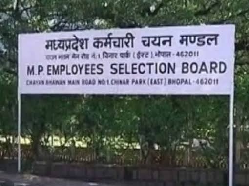 पटवारी, RI और लिपिक कर सकेंगे आवेदन; 5 साल का अनुभव जरूरी|भोपाल,Bhopal - Dainik Bhaskar