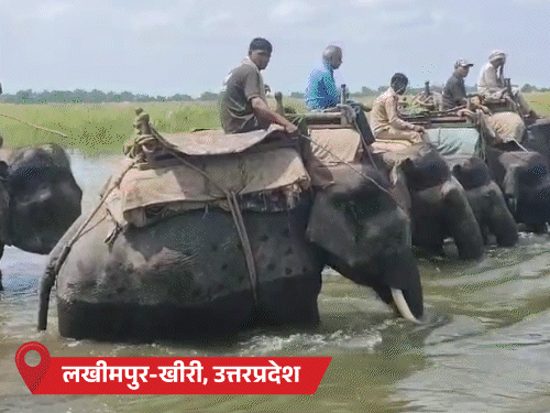 Bihar Flood Crisis & UP Rainfall Update