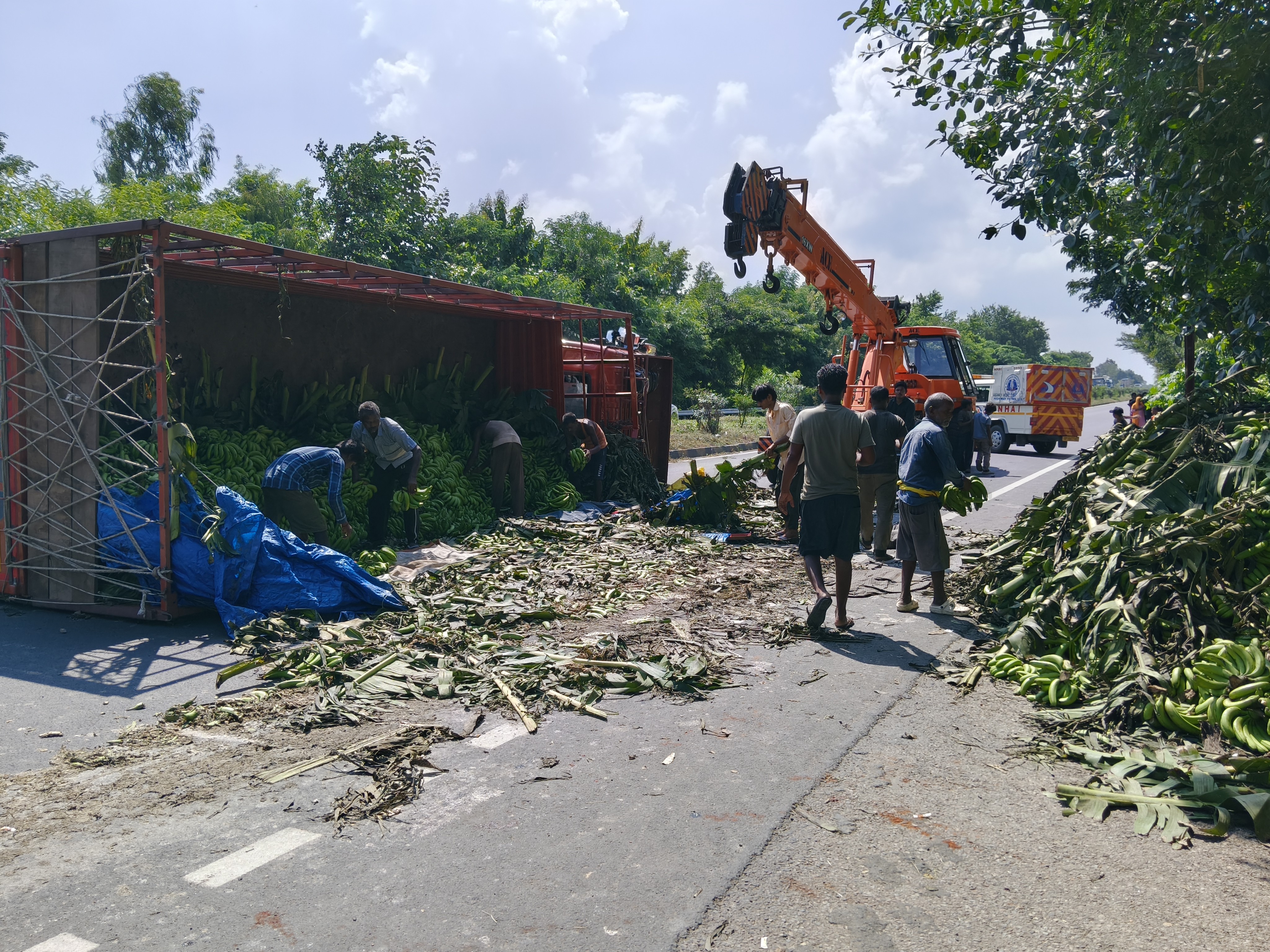 ड्राइवर घायल, ऑटो को बचाने में हुआ एक्सीडेंट|गायघाट,gaighat - Dainik Bhaskar