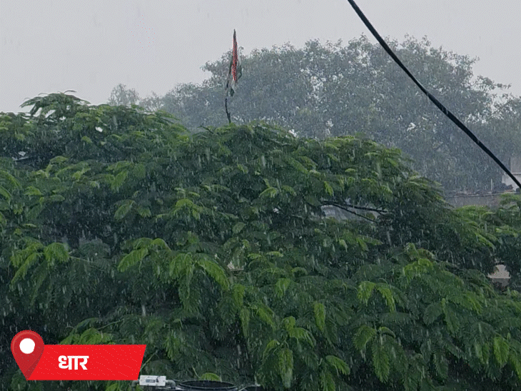 धार में बारिश से किसानों ने राहत की सांस ली।