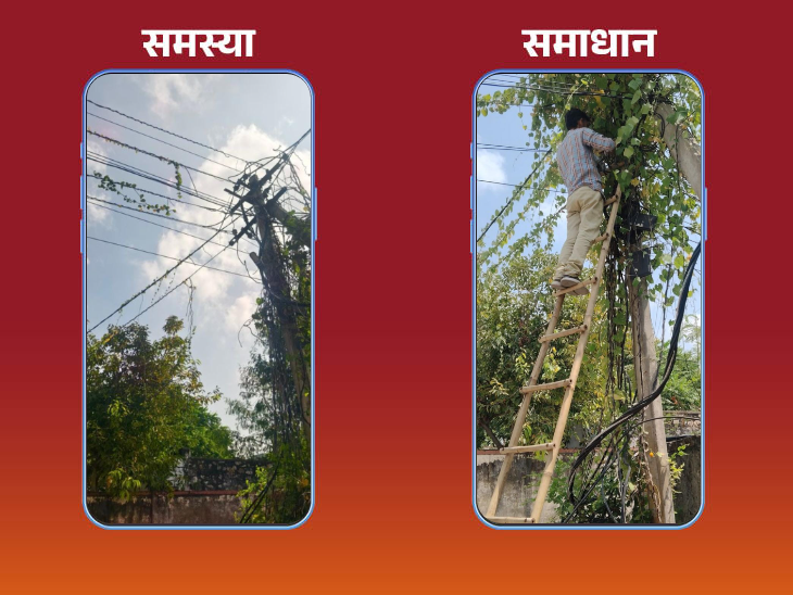 बेल के तारों पर फैलने की समस्या का समाधान करवा दिया है।