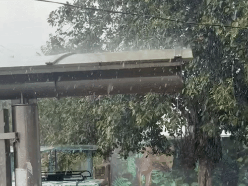 Some parts of Alwar city in Rajasthan received light rain on Sunday evening. This brought slight relief from the humidity.