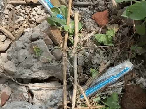 युवक की डेडबॉडी के पास मिली सिरिंज।