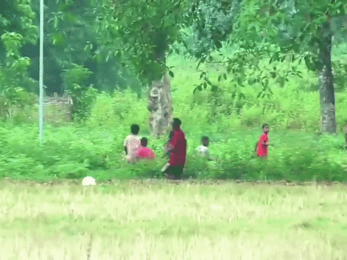 The children ran off the field when the elephant arrived.