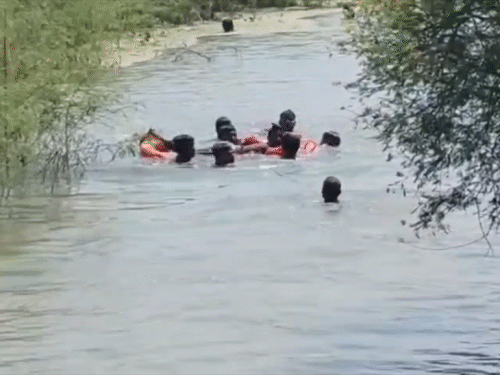 खगड़िया में दो भाइयों की डूबने से मौत हो गई।