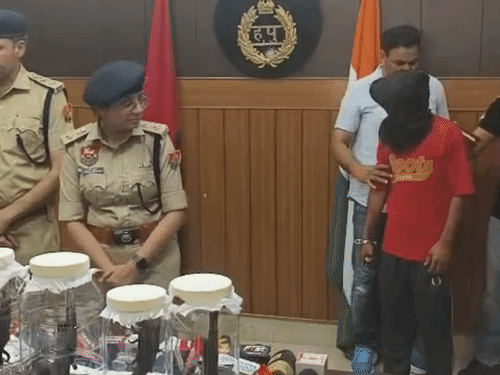 10 पिस्तौल और 24 कारतूस बरामद; शामली का रहने वाला|पानीपत,Panipat - Dainik Bhaskar