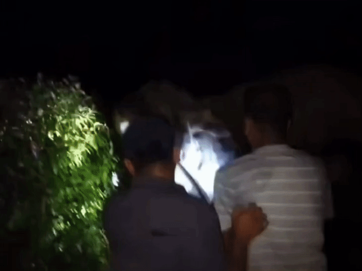 After considerable effort, forest department teams removed the tyre from the elephant's neck late at night.