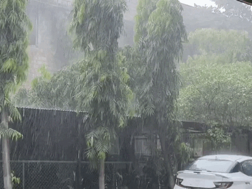किसानों के साथ-साथ आम लोगों की भी नजर अगले 24 घंटे के मौसम पर टिकी हुई है।