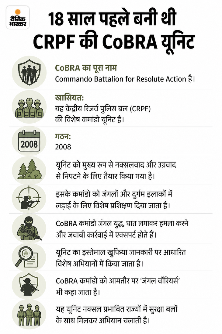 CRPF कोबरा यूनिट की पहली महिला IG बनीं संजुक्ता: 2006 बैच की IPS अधिकारी हैं, असम में उग्रवाद को खत्म किया 84c459dd 8668 47f5 8659 f8c57a011660 1789469812150