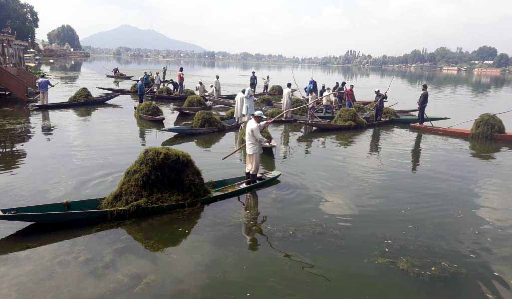 सिमरन अन्य महिलाओं को भी Grass Mache की तकनीक सिखाती हैं।
