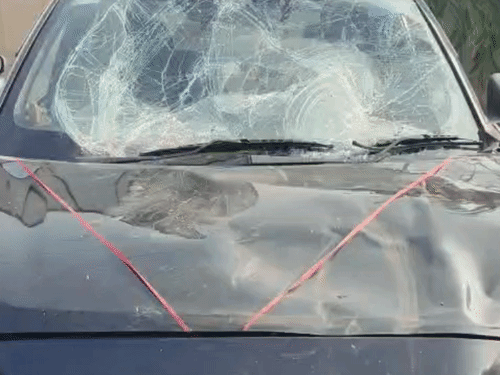The bull smashed the car's front windscreen and also damaged the bonnet.