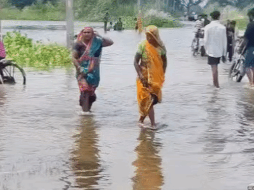 उन्नाव में गंगा का पानी उतरा, बाढ़ प्रभावित इलाकों में दुर्गंध से लोग परेशान। - Dainik Bhaskar