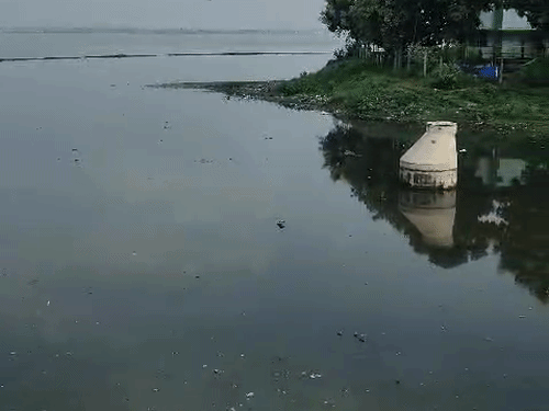 नाले के साथ गंदगी आने से पैडलेगंज की ओर किनारे पर ताल का पानी काफी गंदा हो चुका है।