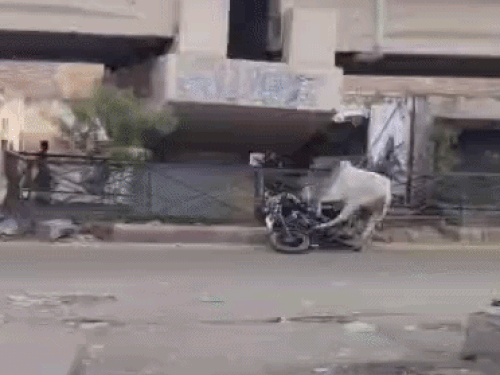 The enraged bull knocked a motorcyclist passing along the road to the ground. The motorcyclist was wearing a helmet. During the incident, the bull rammed the motorcycle two to three times.