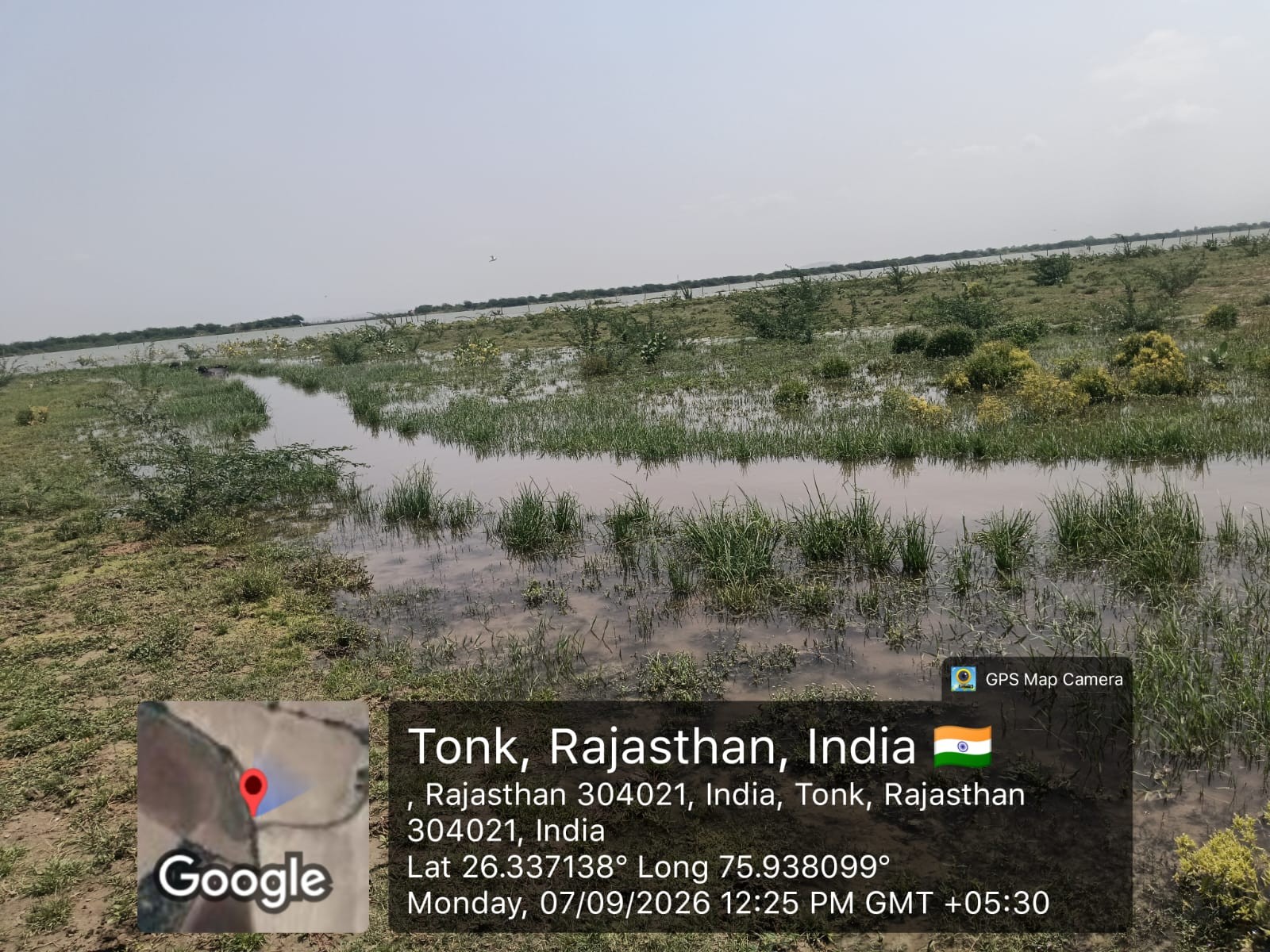 बांध में सीवरेज का पानी छोड़ने से हो रहा प्रदूषण।