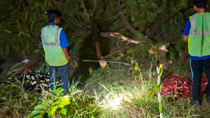 8 लेन पर सड़क के बीच झाड़ियों में बिखरी पड़ी शराब की बोतले।