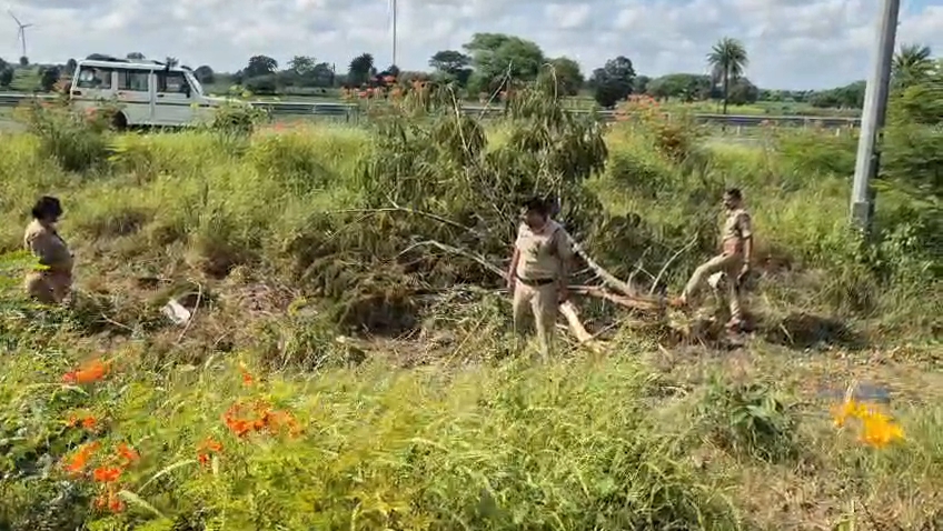 8 लेन पर थाना प्रभारी गायत्री सोनी पुलिसकर्मियों के साथ मौके पर जांच करते हुए।