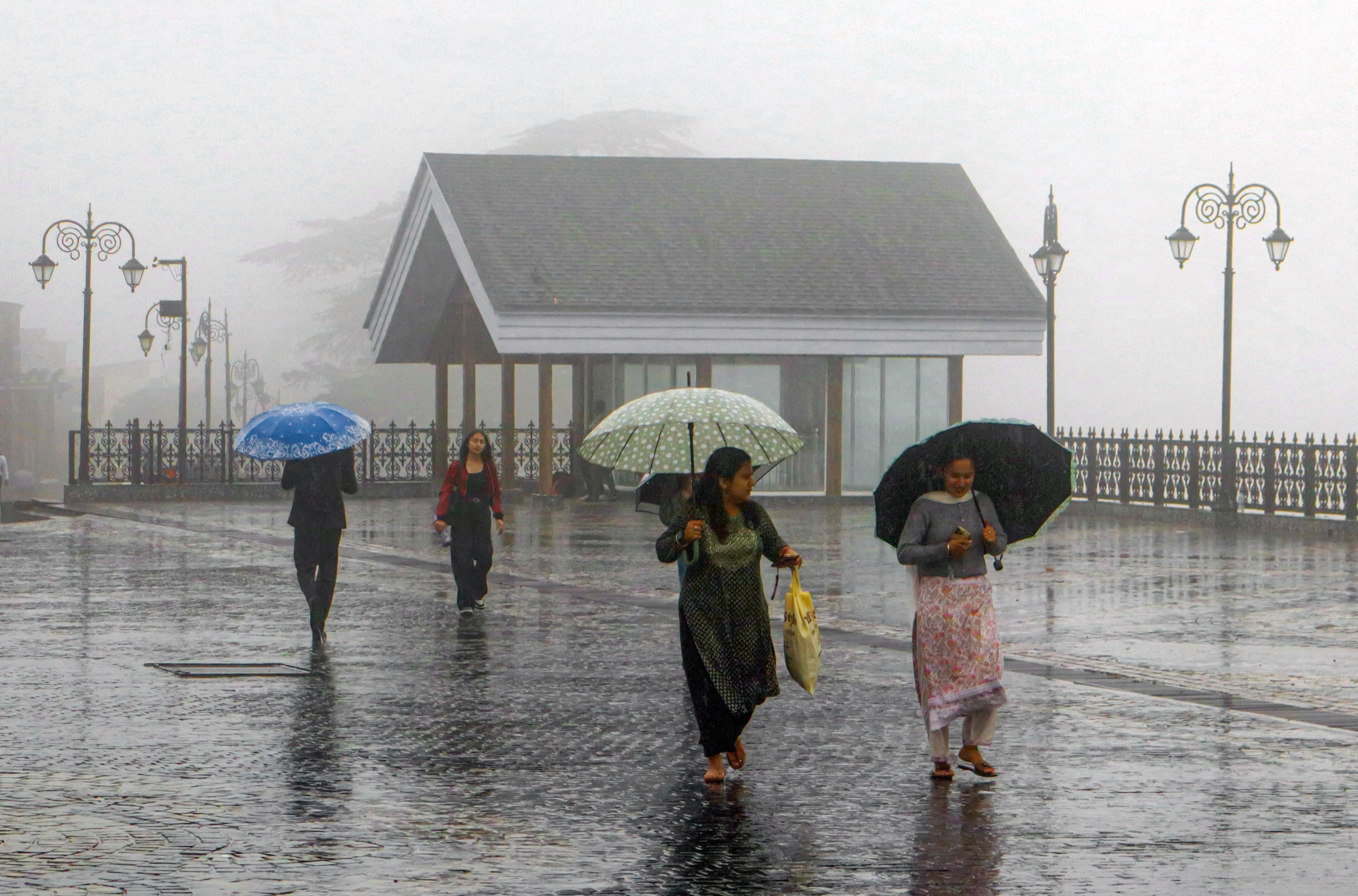 Fog persisted in Shimla, Himachal Pradesh, after rain on Thursday morning.