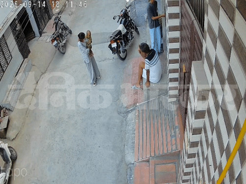 सोनीपत में घर का गेट खुलते ही पिटबुल ने युवती की गोद में खेल रहे बच्चे पर हमला कर दिया। - Dainik Bhaskar