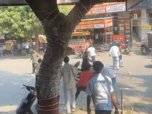 झगड़ा देख कई चालकों ने अपने वाहन दूर ही खड़े कर दिए।