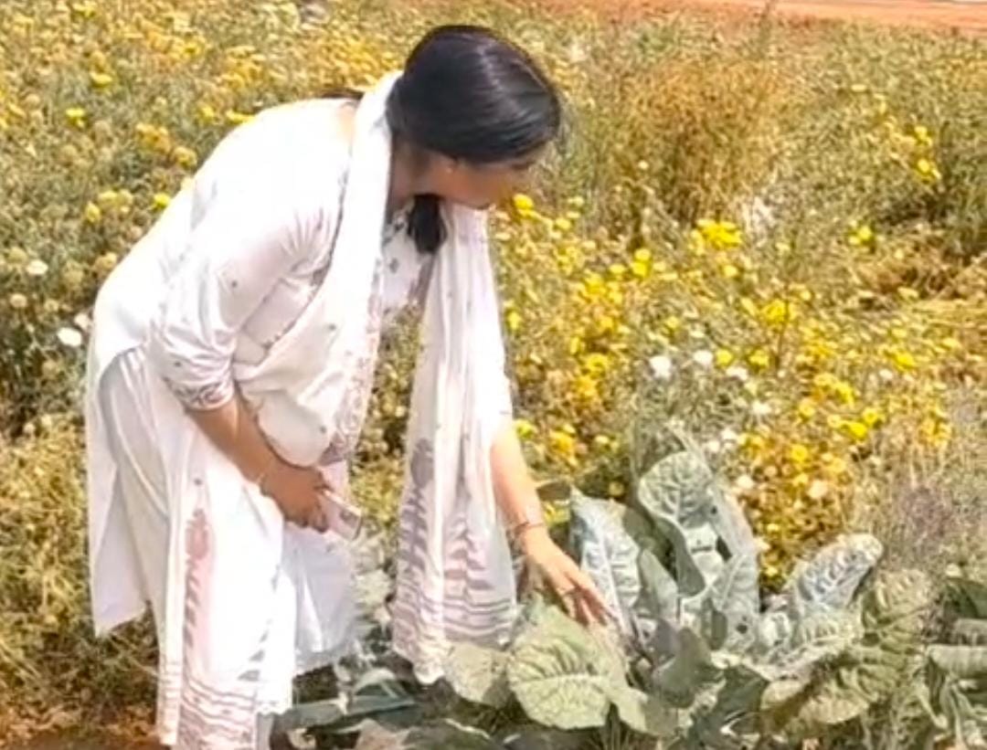 एग्रीकल्चर की प्रोफेसर सुषमा खेत में खड़ी फसल को देखते हुए।