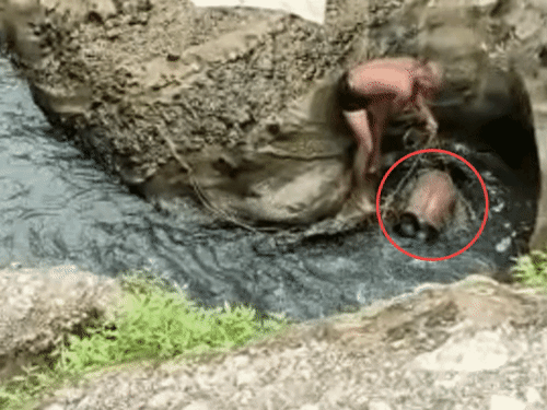 झरने में नहाने निकला ग्रामीण वापस नहीं लौटा,सुबह मिला शव