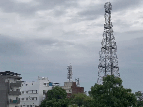 हिसार में बारिश के कारण सुबह हल्की ठंड महसूस की गई। - Dainik Bhaskar