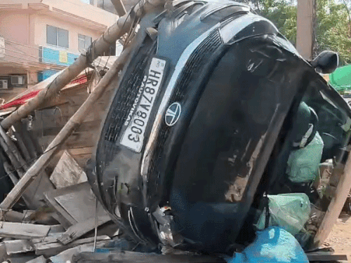 गोवंश को बचाने के चक्कर में हादसा, बाल-बाल बचा बाइक सवार|फरीदाबाद,Faridabad - Dainik Bhaskar