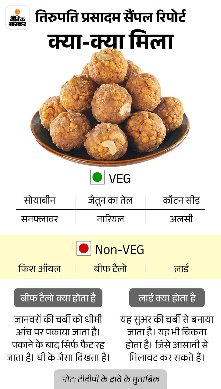 तिरुपति लड्डू विवाद-ED ने सुकृति फूड्स प्रमोटर को गिरफ्तार किया: ₹230 करोड़ का घी सप्लाई किया गया था; घी पाम ऑयल-एसीटिक एसिड एस्टर से बना था 1739191246 1769800518 1789795382231