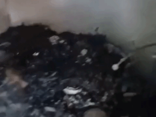आग लगने से जला घरेलु सामान।