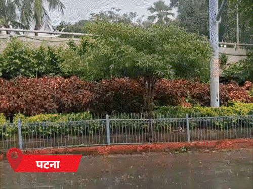 बाढ़ पीड़ितों के लिए नितिन नवीन ने दिए 6.35 लाख; BJP-LJP(R) के सांसद-विधायक देंगे एक महीने का वेतन|पटना,Patna - Dainik Bhaskar