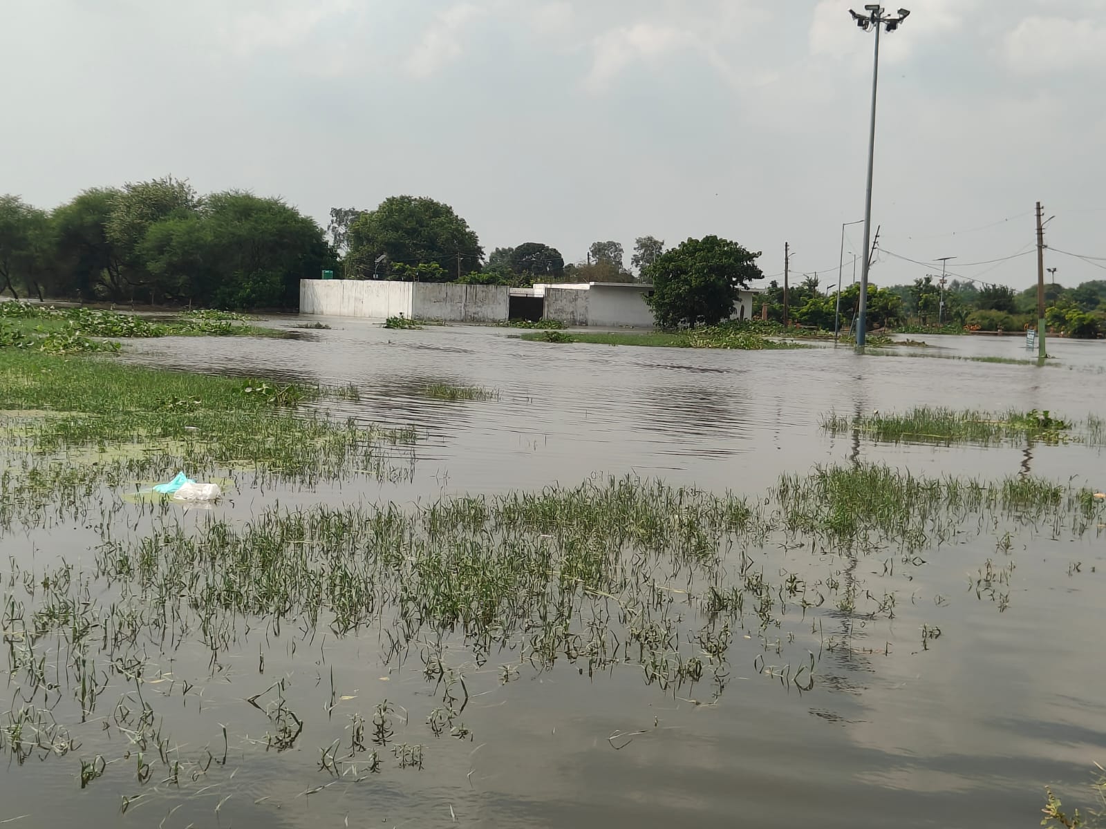 मेंहदी घाट के चारों ओर पानी ही पानी।
