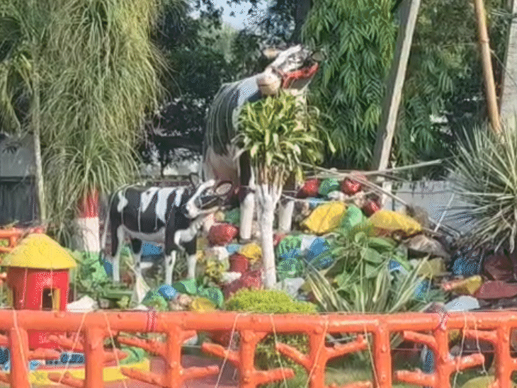 रिश्तेदारों की निजी गाड़ियां भी बिना टेंडर के डेयरी में किराए पर लगाई गईं।