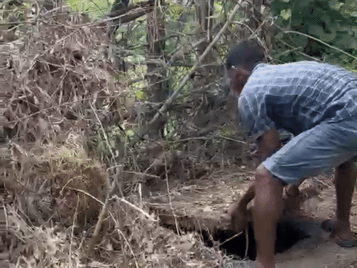 शक के आधार पर सेप्टिक टैंक को खोला गया।