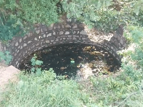 खेत में बने इसी कुएं में पूजा का शव बरामद हुआ है।