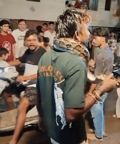 A young man openly walked around a road in Haridwar with a 7-foot-long python draped around his neck.