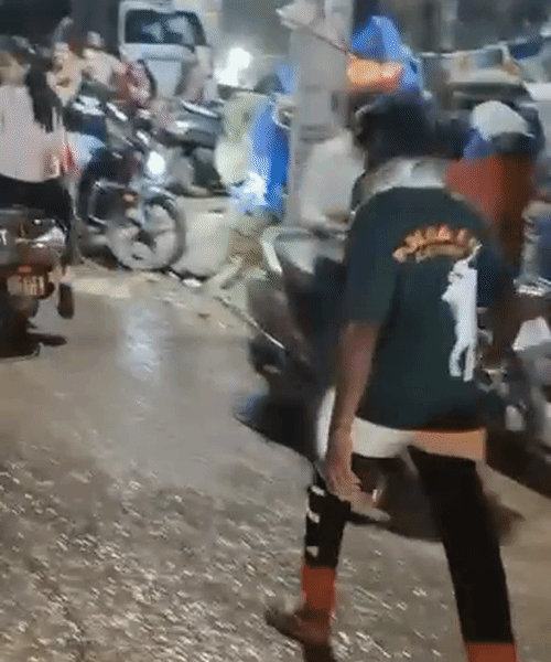 The young man came into the middle of the road with the python hanging around his neck and both hands spread out, forcing two-wheelers passing through to stop suddenly.